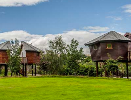 Rivervalley Park Treehouses, Ireland