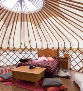 meadow-yurt (2)