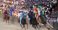 Palio di Siena