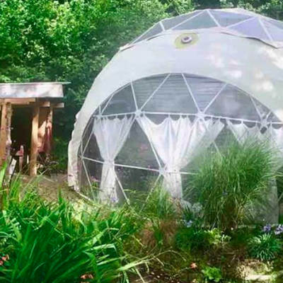 The Dome Garden, Forest of Dean