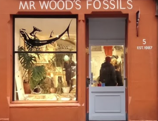 Mr Wood’s Fossils, Edinburgh